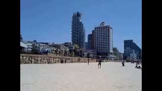 The beach of Tel aviv, ISRAEL