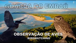 OBSERVAÇÃO DE AVES E VIDA SELVAGEM -  PRAIA DA GUARDA DO EMBAÚ SC