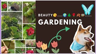 Beauty of garden //Youtube video in my channel.....🏡🫧🪺🌍😘