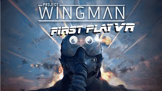 Project Wingman VR - First Impressions (Part 2)