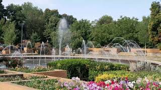 water fountain Arad, Polivalenta