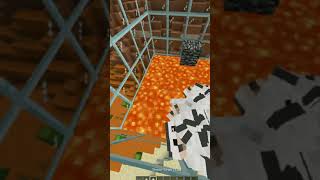 1000 WOLF VS SHEEP WHO WIN #minecraft #short