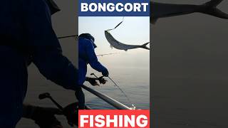 Jigging bluefish using diamond jigs