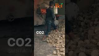 What is Biomass briquettes? || Biomass briquettes For Beginners || Biomass briquettes