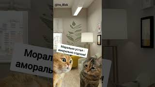 Прием психолога мем #мем2024 #психология #двакота #приколы #shorts