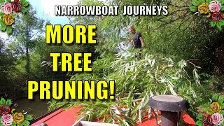 Vlog: More Tree Pruning