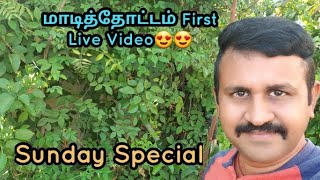 Sunday Special l மாடித்தோட்டம் First Live Video l Terrace Garden Live l தோட்டத்து செடிகள்