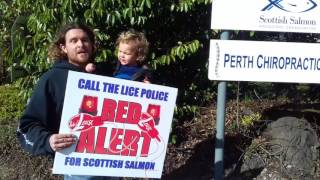 Stop Salmon Farming - Call the Lice Police!