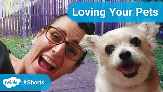 3 Ways to Show Your Pets You Love Them: Love Your Pet Day