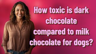 How toxic is dark chocolate compared to milk chocolate for dogs?