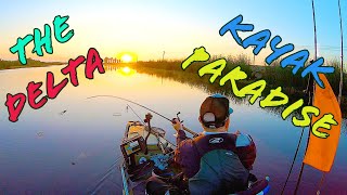 🐟 California Delta Paradise - Late Summer Bass Fishing