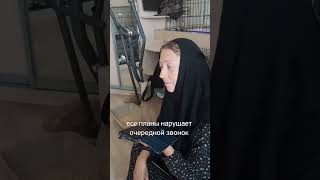 Будни «кошкиного дома глазами девушки-волонтера , которая приехала фотографировать кошек❗️