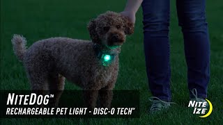 NiteDog™ Rechargeable Pet Light - Disc-O Tech™