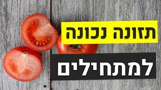 תזונה נכונה למתחילים - תוויות מזון