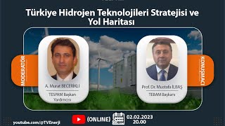 Türkiye Hidrojen Teknolojileri Stratejisi ve Yol Haritası