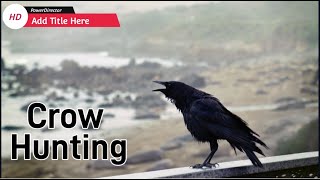 Кроухантинг - Отстрел Ворон | Pest Control - Shooting Crows