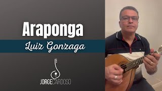 ARAPONGA (Luiz Gonzaga) | JORGE CARDOSO - Bandolim