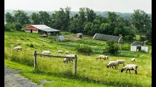 Food Security : Andrew Von Zuben. Homesteading. What Is It and How Do You Do It? Pt 4.