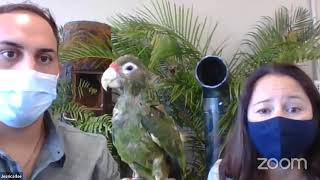 Mission Conservation- Parrots