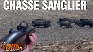 Chasse au Sanglier - Les plus beaux loupés !