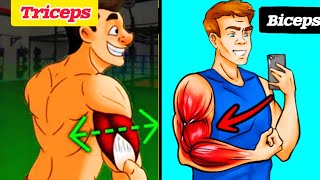 World's Best Biceps and Triceps Workout For Bigger Arms | biceps workout | triceps workout