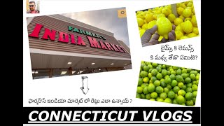 USA Vlogs - 3  | కనెక్టికట్ వ్లాగ్ 3 📷 | Farmer’s India Market | Vegetable prices in USA