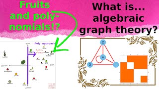 What are...graph polynomials?