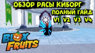 Обзор Расы Киборг V1 V2 V3 V4 Блокс Фрукт