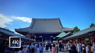 Japanese lantern plant market in Asakusa | Walk on Nakamise shopping street to Sensoji temple.| 4k