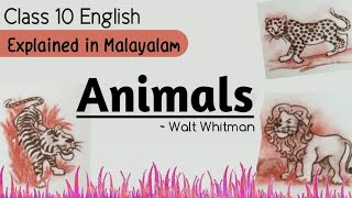 CBSE class 10 English |# Animals | First Flight | Explained in Malayalam