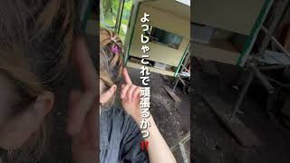 #65 DIYど素人20代女子が夢の動くお家をつくる #diy #vanlife #バンライフ #モバイルハウス #自作キャンピングカー #軽トラキャンピングカー #アウトドア女子 #ライフスタイル