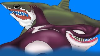 Killer Whale VS Megalodon - Animation