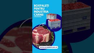 Boxpaleti pentru industria carnii - Europlast Romania