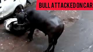 BULL ATTACk ON CAR IN MUMBAI