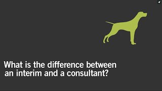 Q&A: What is the difference between an interim and a consultant?