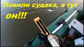 Рыбалка на Оке/на живца/8 октября/неожиданный выход налима в +15С