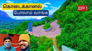 🔥 மலைகளின் இளவரசி கொடைக்கானல் 🔥 kodaikanal tourist places in tamil