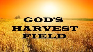 God’s Harvest Field – Moving Closer to Jesus – Christian Devotional