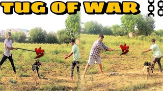 कौन जीतेगा ? - Tug of war ⛓️