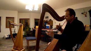 Espero plays the harp: Multicam tests - Potpourri