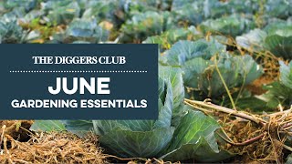 June Gardening Essentials