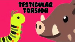 Testicular Torsion