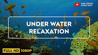 Aquarium VIDEO (ULTRA HD) 🐠 Beautiful Relaxing Coral Reef Fish - Relaxing Sleep Meditation Music