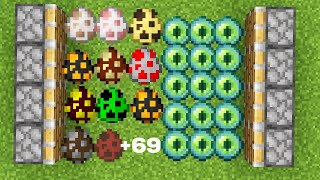 All minecraft spawn eggs + 1000 Magic eye of ender = ???