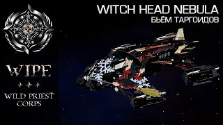 Elite Dangerous. Бьем таргоидов в гостях у ведьмы. Туманность Witch Nebula