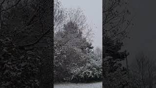 so beautiful first day snow2023😍please like comment subscribe share follow me, thanks.