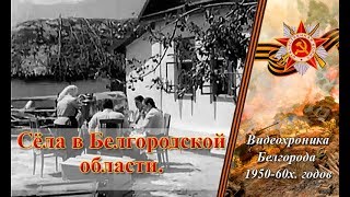 Дети. Сёла в Белгородская области.  Хроника 1957год