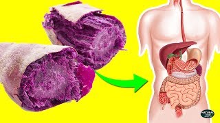 6 Reasons Why Purple Yam Is The Healthiest Food on Earth!