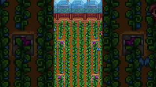 Cara Memunculkan Kupu-Kupu di Stardew Valley