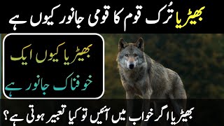 Intresting and Amazing Facts about WOLF | Wolves Facts | Why WOLF is National Animals of Turks